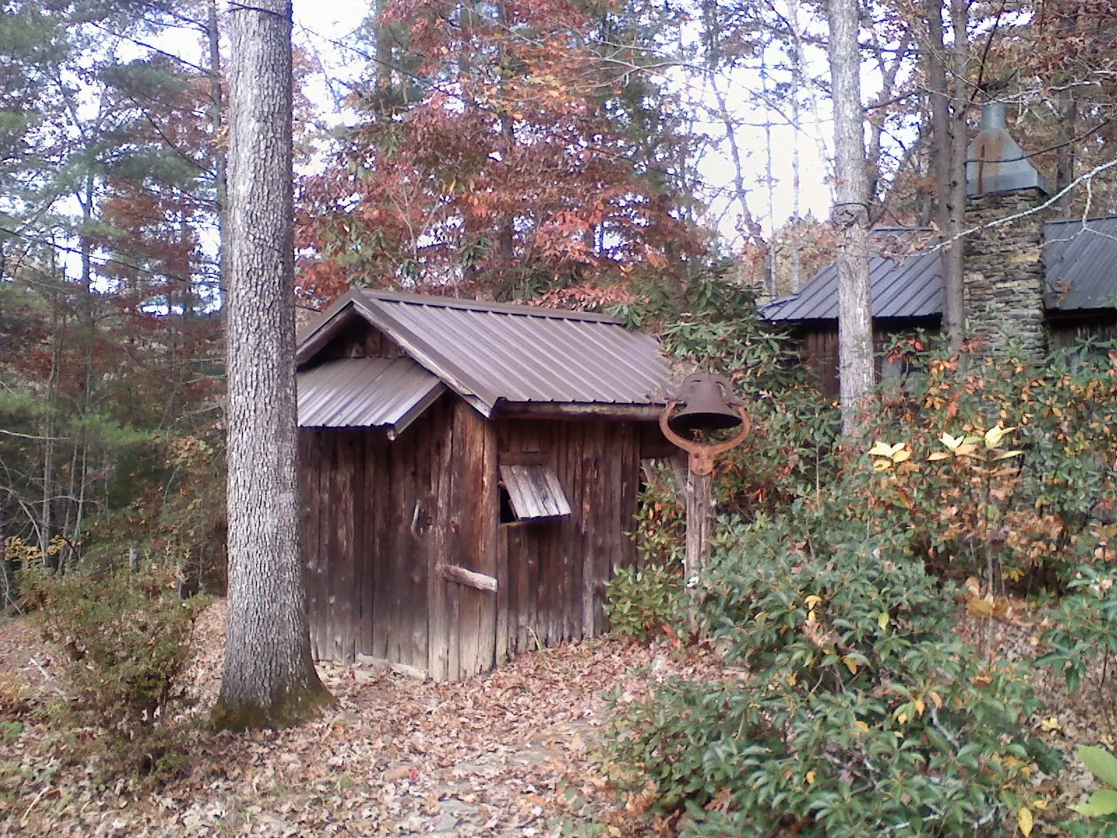 Small metal roof on a rough sawn shed in the woods in Hadlyme